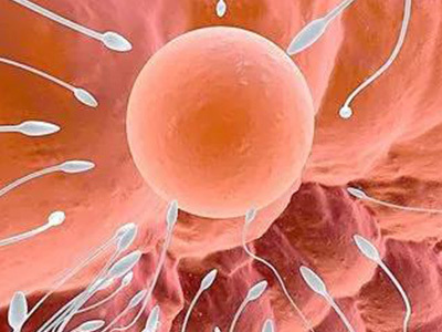 木棉医疗中心